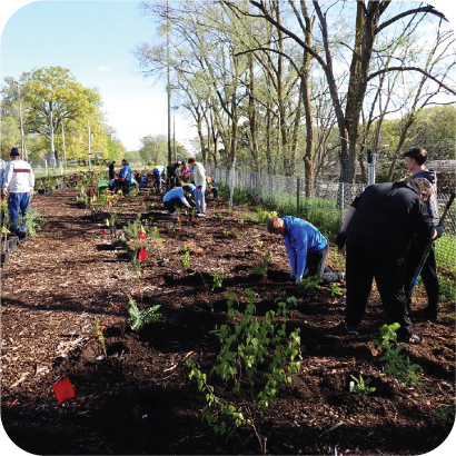 marquette micro forest - Copy